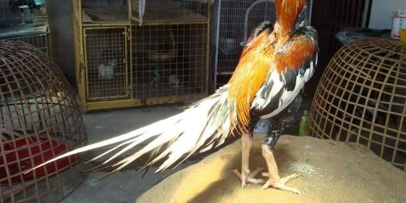 Chính Sách Bảo Mật Nhà cái luôn tối ưu để bảo vệ dữ liệu cá nhân của người chơi