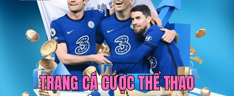 Trang Cá Cược Thể Thao 8XX - Cập Nhật Tin Tức Siêu Nhanh Trang cá cược thể thao 8XX